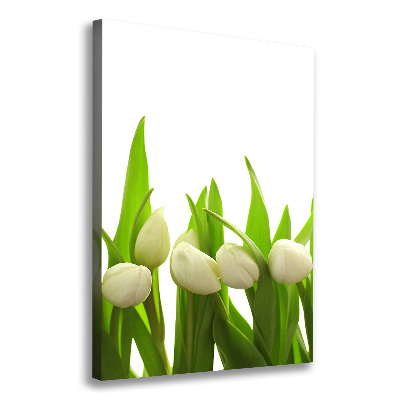 Vertikálny foto-obraz canvas do obývačky Biele tulipány