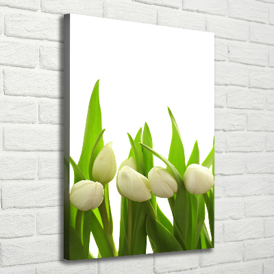 Vertikálny foto-obraz canvas do obývačky Biele tulipány