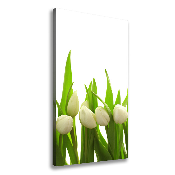 Vertikálny foto-obraz canvas do obývačky Biele tulipány