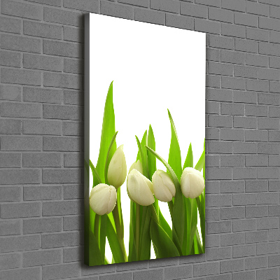 Vertikálny foto-obraz canvas do obývačky Biele tulipány