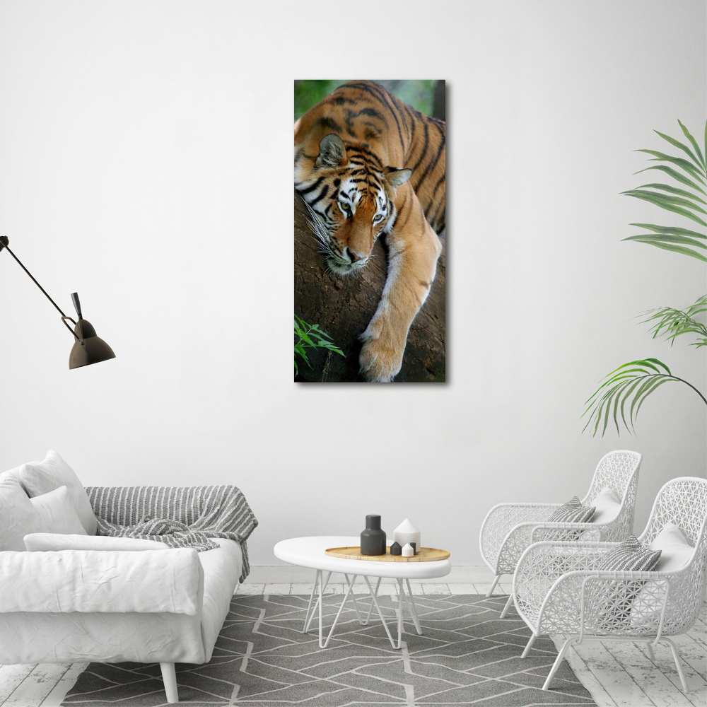 Vertikálny foto obraz na plátne Tiger na strome