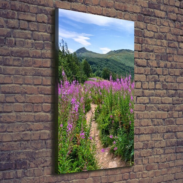 Vertikálny foto obraz na plátne do obývačky Bieszczady