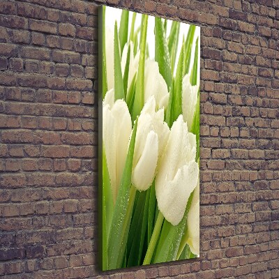 Vertikálny foto obraz na plátne Biele tulipány