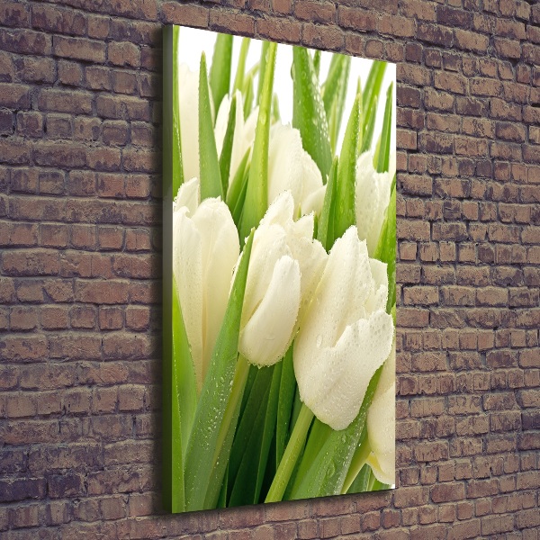 Vertikálny foto obraz na plátne Biele tulipány