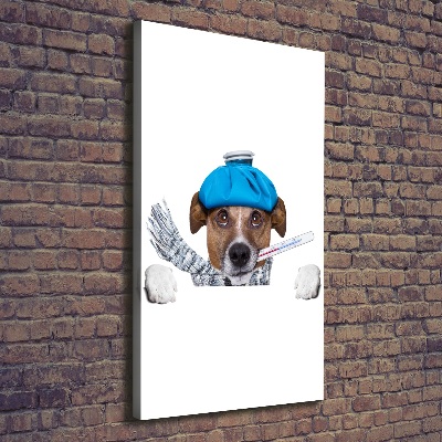 Vertikálny foto obraz na plátne do obývačky Chorý pes