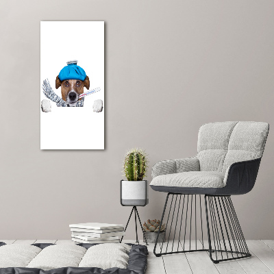 Vertikálny foto obraz na plátne do obývačky Chorý pes