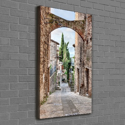Vertikálny foto obraz na plátne Talianske uličky