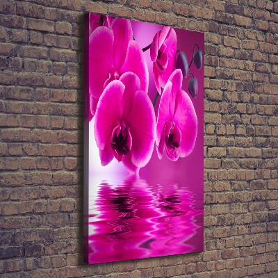 Vertikálny foto obraz na plátne Ružová orchidea