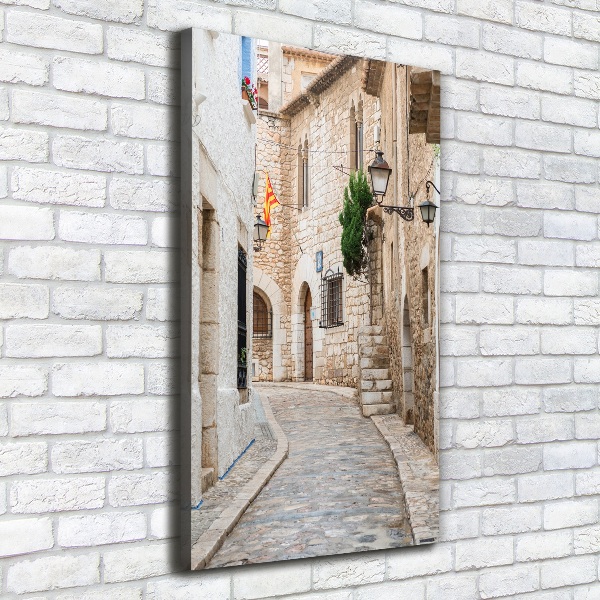 Vertikálny foto obraz na plátne Uličky v Španielsku