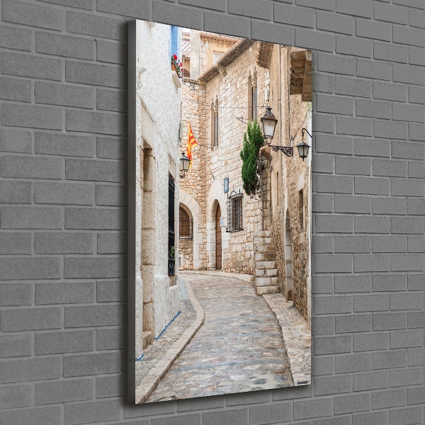 Vertikálny foto obraz na plátne Uličky v Španielsku