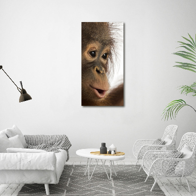 Vertikálny foto obraz na plátne Mladý orangutan