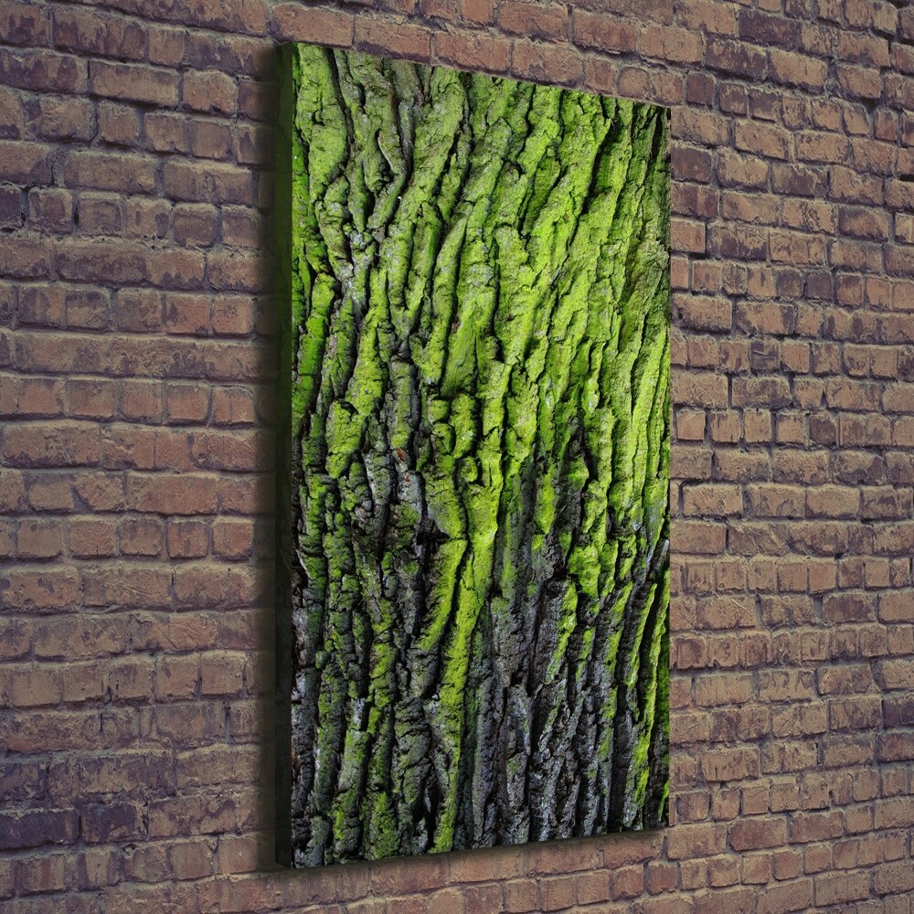 Vertikálny foto obraz na plátne do obývačky Kôra stromu