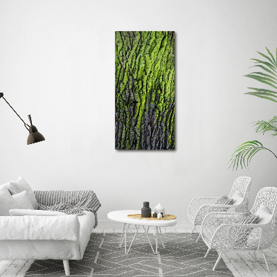 Vertikálny foto obraz na plátne do obývačky Kôra stromu