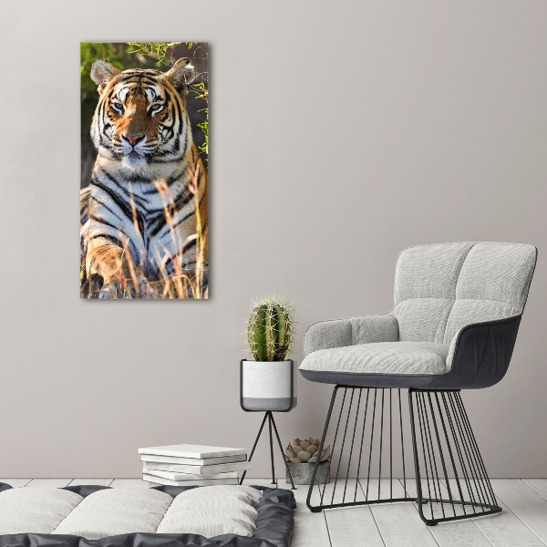 Vertikálny moderný fotoobraz canvas na ráme Tiger