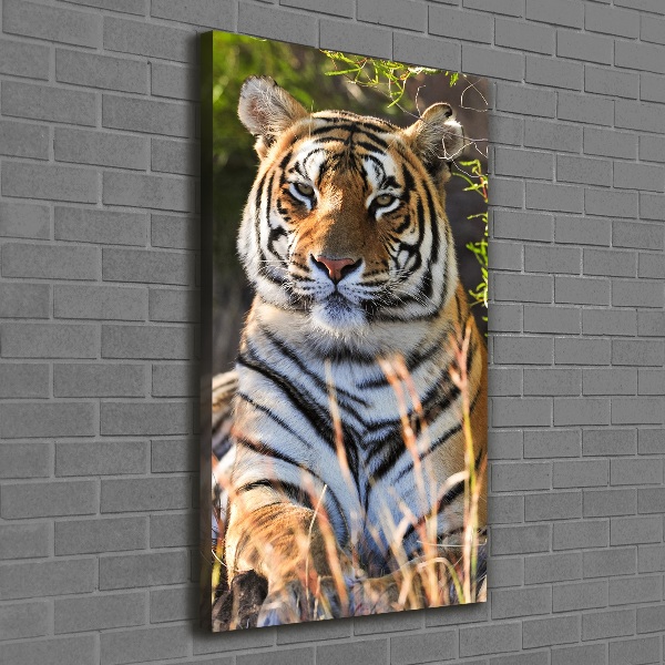 Vertikálny moderný fotoobraz canvas na ráme Tiger