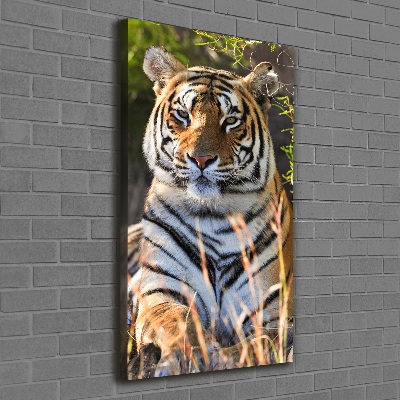 Vertikálny moderný fotoobraz canvas na ráme Tiger