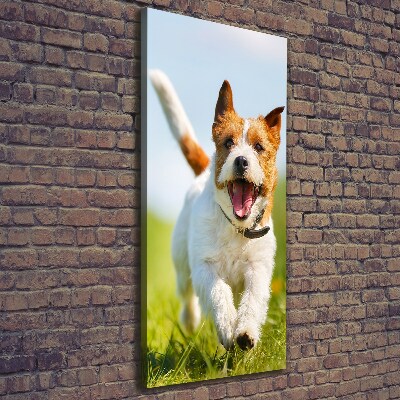 Vertikálny foto obraz na plátne Pes Jack Russell