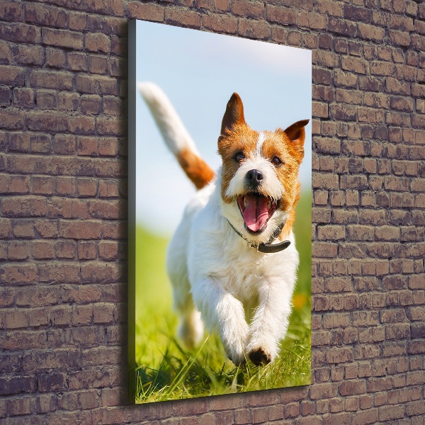 Vertikálny foto obraz na plátne Pes Jack Russell