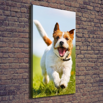 Vertikálny foto obraz na plátne Pes Jack Russell