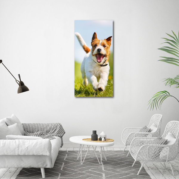 Vertikálny foto obraz na plátne Pes Jack Russell