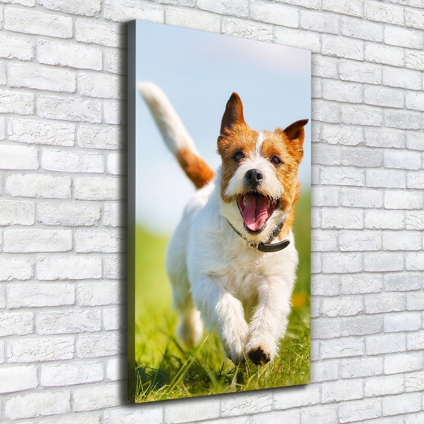 Vertikálny foto obraz na plátne Pes Jack Russell