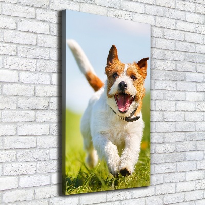 Vertikálny foto obraz na plátne Pes Jack Russell