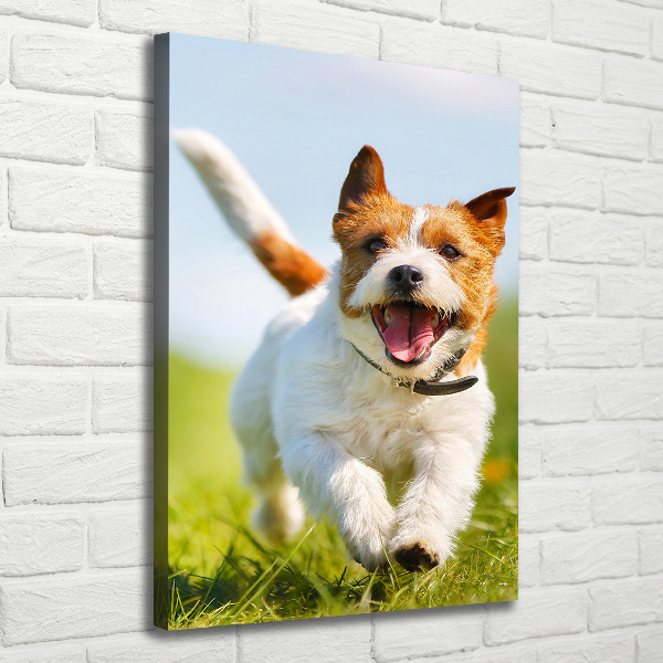 Vertikálny foto obraz na plátne Pes Jack Russell