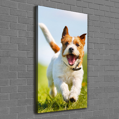 Vertikálny foto obraz na plátne Pes Jack Russell