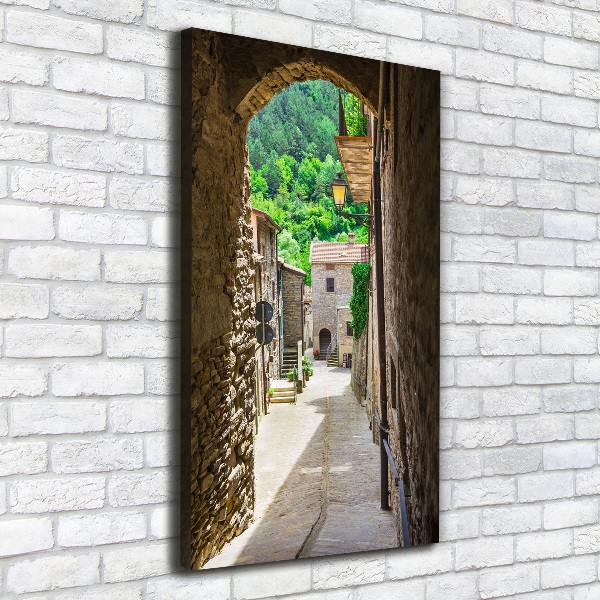 Vertikálny foto obraz na plátne Pekná ulička