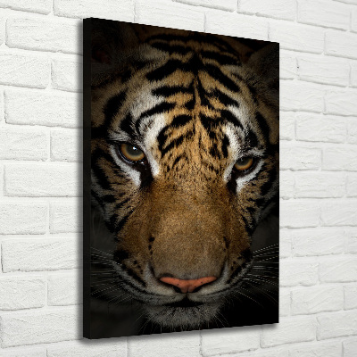 Vertikálny moderný fotoobraz canvas na ráme Tiger