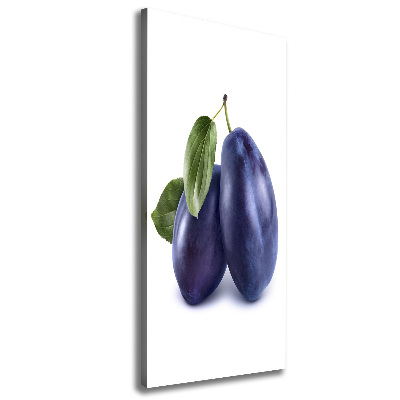 Vertikálny moderný fotoobraz canvas na ráme Slivky