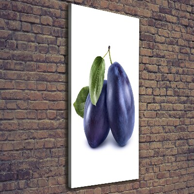 Vertikálny moderný fotoobraz canvas na ráme Slivky
