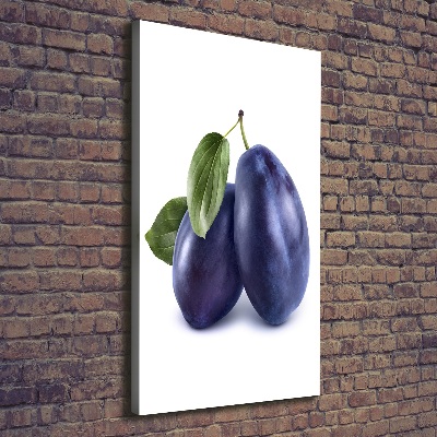 Vertikálny moderný fotoobraz canvas na ráme Slivky