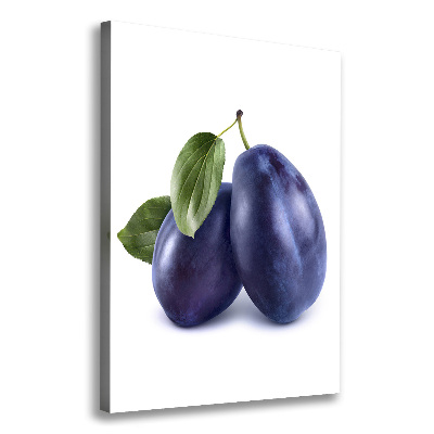 Vertikálny moderný fotoobraz canvas na ráme Slivky
