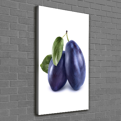 Vertikálny moderný fotoobraz canvas na ráme Slivky