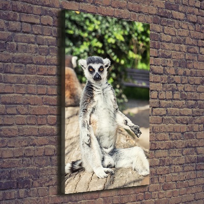 Vertikálny foto obraz tlačený na plátne Lemur