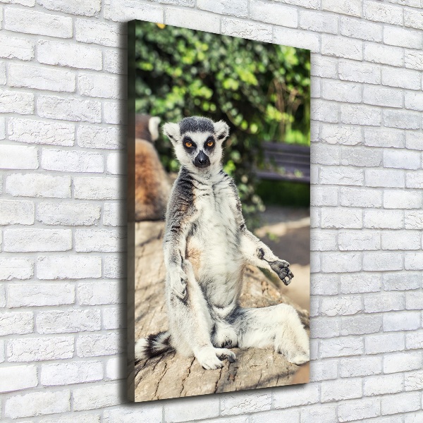 Vertikálny foto obraz tlačený na plátne Lemur