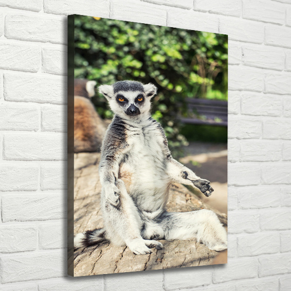 Vertikálny foto obraz tlačený na plátne Lemur