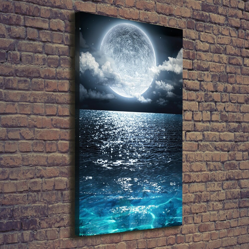 Vertikálny foto obraz na plátne Mesiac v splne