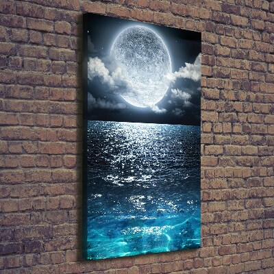 Vertikálny foto obraz na plátne Mesiac v splne