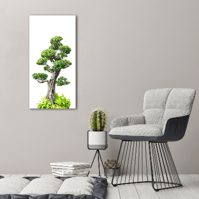 Vertikálny foto obraz na plátne Bonsai