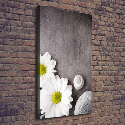 Vertikálny moderný obraz canvas na ráme Gerbera