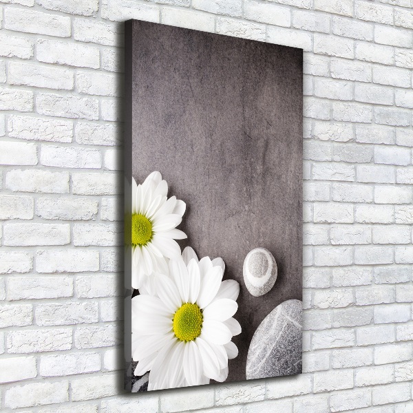 Vertikálny moderný obraz canvas na ráme Gerbera