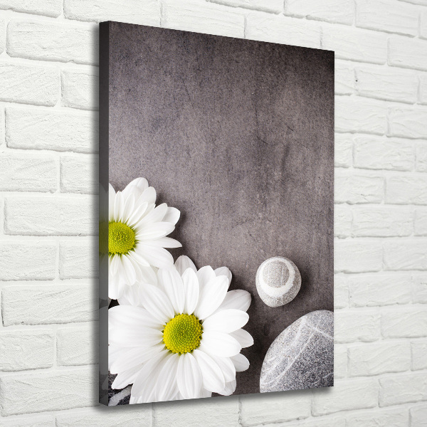 Vertikálny moderný obraz canvas na ráme Gerbera