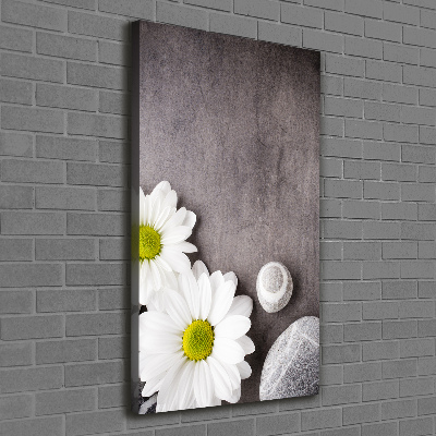 Vertikálny moderný obraz canvas na ráme Gerbera