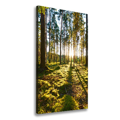 Vertikálny foto obraz na plátne do obývačky Sosnová les