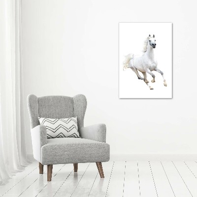 Vertikálny foto obraz na plátne Biely kôň cval