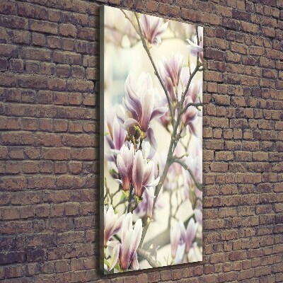 Vertikálny foto obraz na plátne do obývačky Magnolie