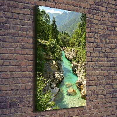Vertikálny foto obraz canvas Horský potok