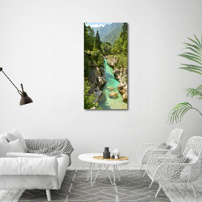 Vertikálny foto obraz canvas Horský potok